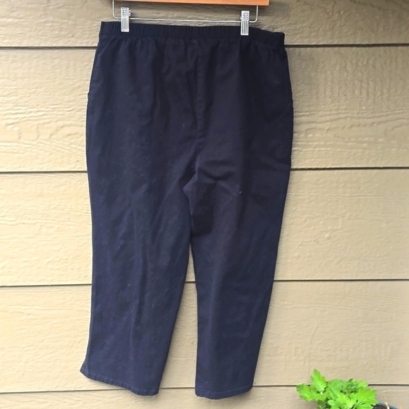 Quacker Factory Jeans Black Denim Embellished Dragonfly Pocket Pull-on large - Picture 8 of 8